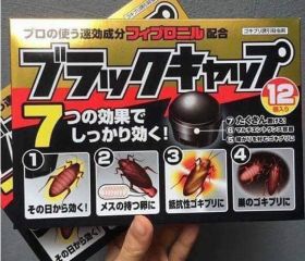 vien-diet-gian-nhat-ban-hop-12-vien